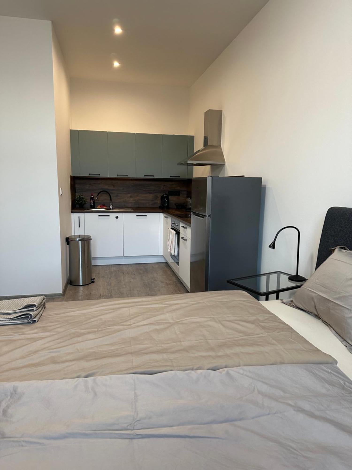 Apartman Palackeho Tábor Eksteriør billede